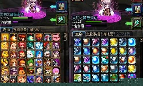 dnf宠物撒共_dnfsss宠物