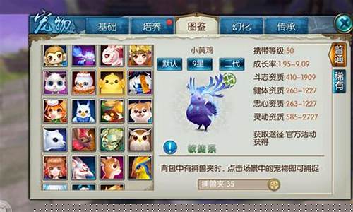 梦幻诛仙宠物内丹怎么搞_梦幻诛仙宠物