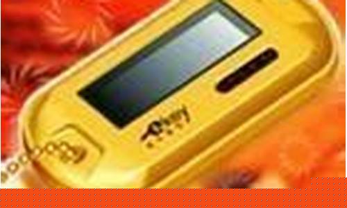 盛大密保卡_盛大密保卡丢了怎么办