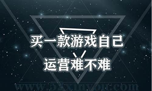 买一款游戏自己运营_买一款游戏自己运营需
