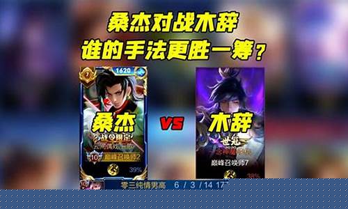 王者荣耀桑杰元歌出装_元歌桑杰多大
