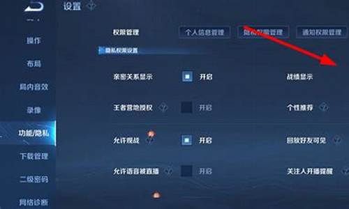 王者荣耀战绩怎么隐藏_王者荣耀战绩怎么隐藏设置