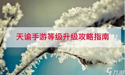 天谕升级攻略最新_天谕升级攻略