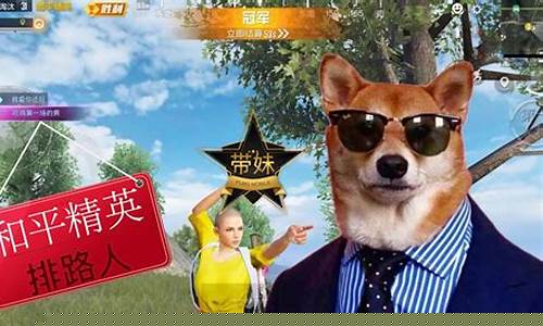 和平精英只玩喷子的小新_和平精英只玩喷子的小新是谁