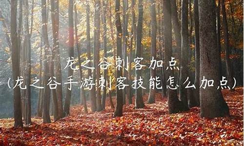 龙之谷手游刺客_龙之谷手游刺客影和烈哪个厉害